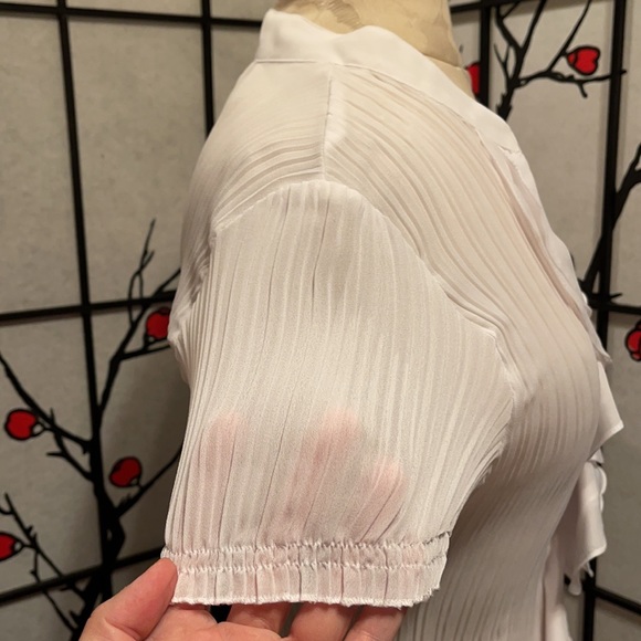 S.L.B. Sheer Short Sleeve Blouse - Picture 4 of 7